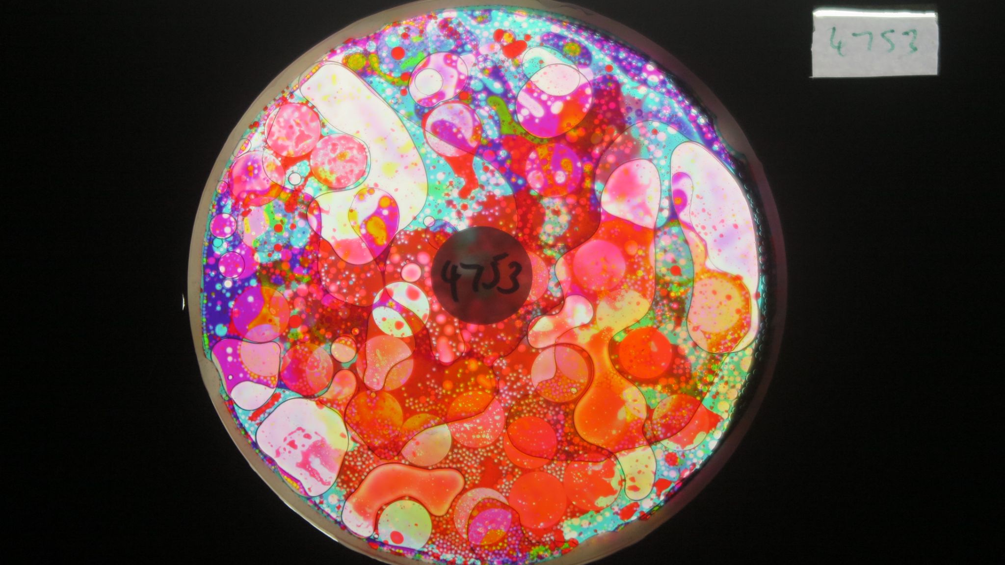 BV4752 bubble vision oil wheel